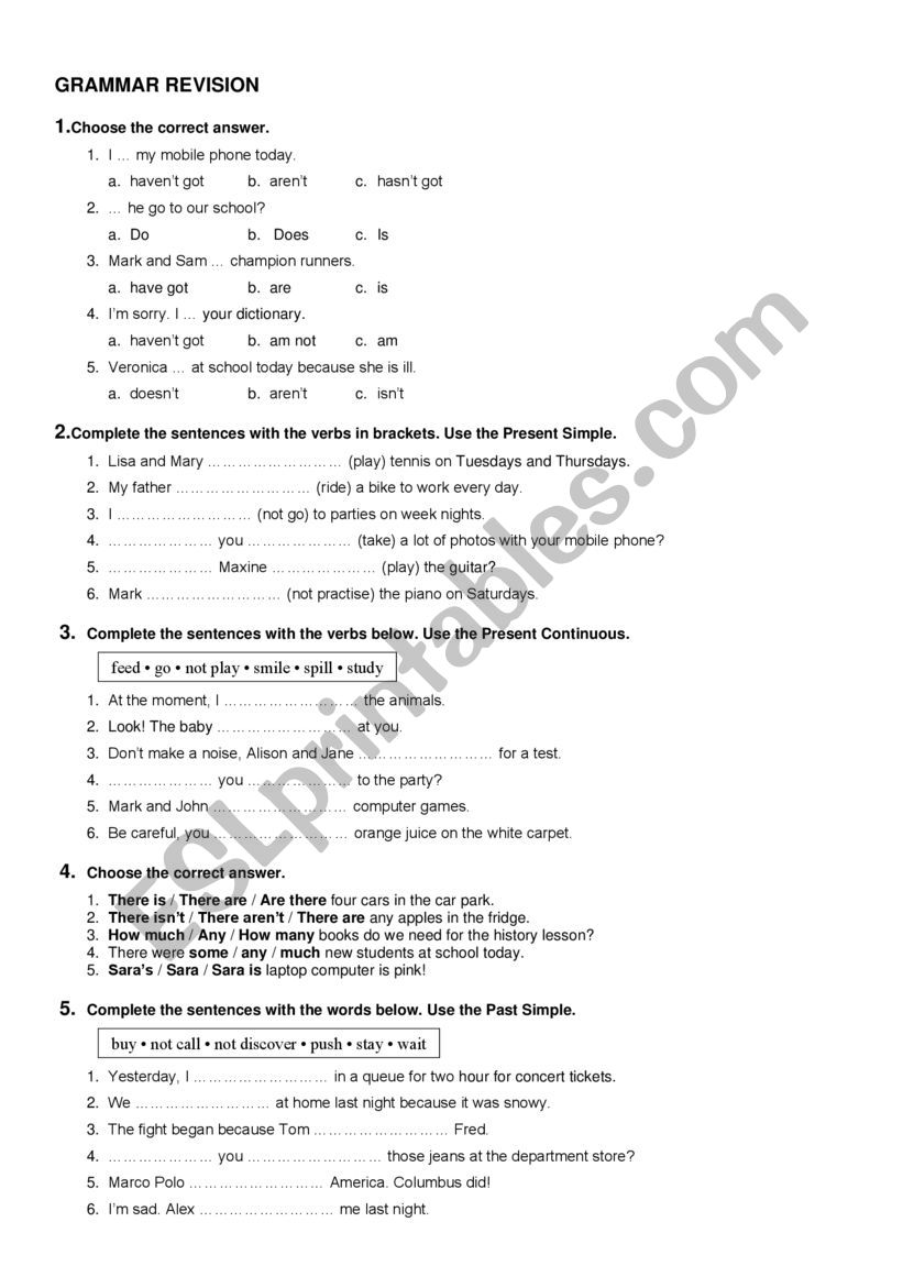 GRAMMAR REVISION  worksheet