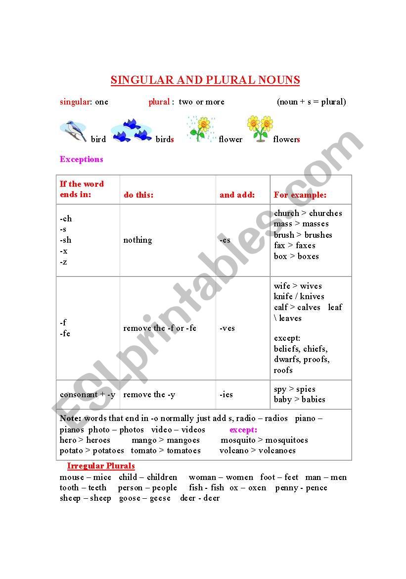 Singular and Plural Nouns worksheet