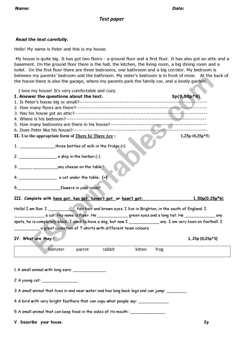 test paper- 5th grade worksheet