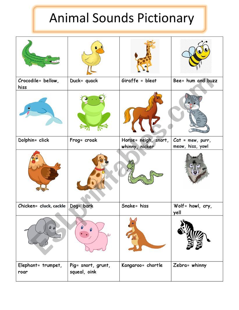 Animal sounds pictionary - ESL worksheet by Tesnimenasr