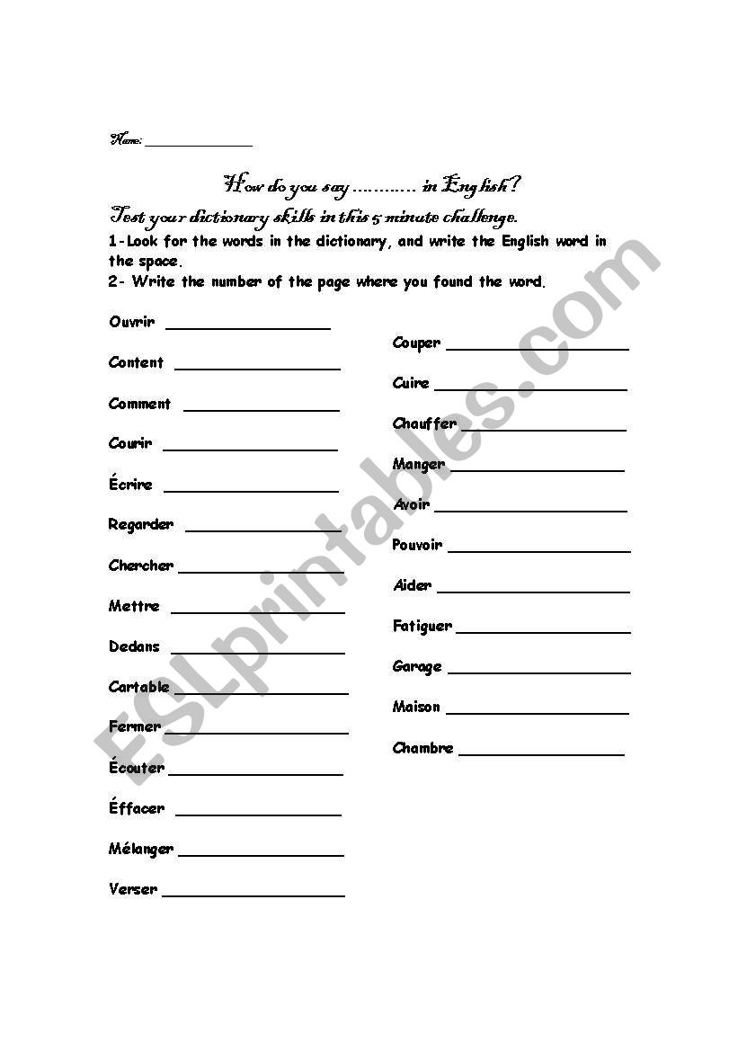 Dictionary Challenge worksheet