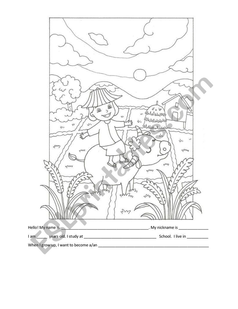 Personal Introduction  worksheet