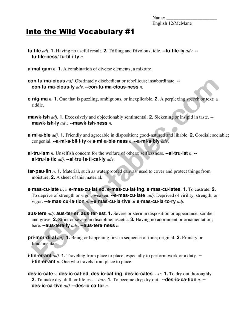 Into the wild vocabulary worksheet