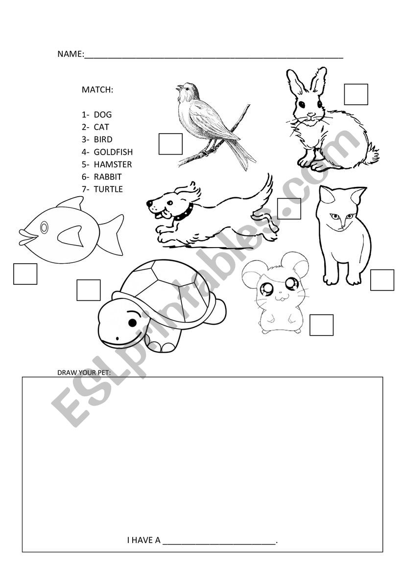 Pets worksheet