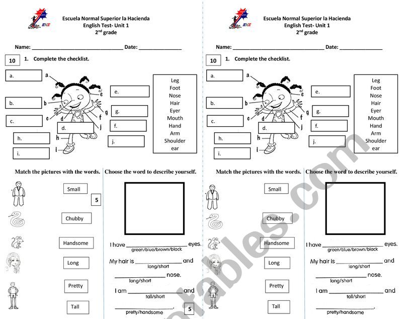 English Quiz worksheet