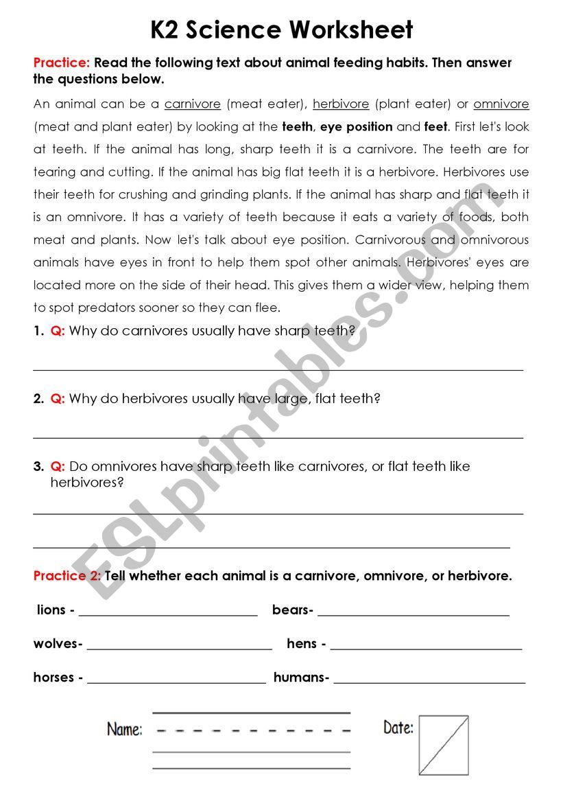 Animal feeding habits worksheet