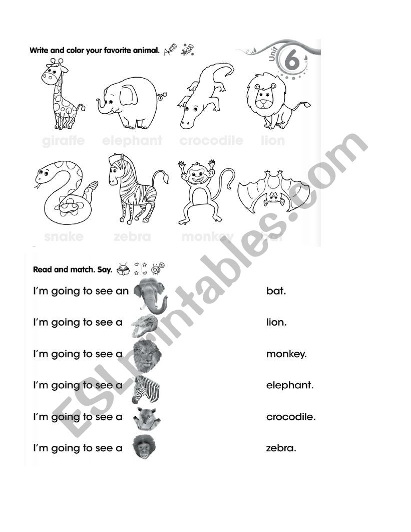 zoo animals  worksheet