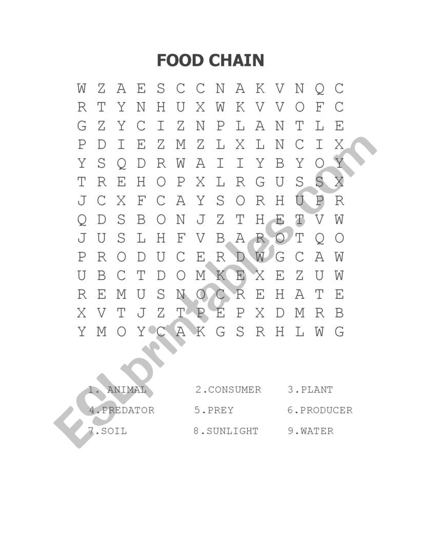 Food Chain word search worksheet