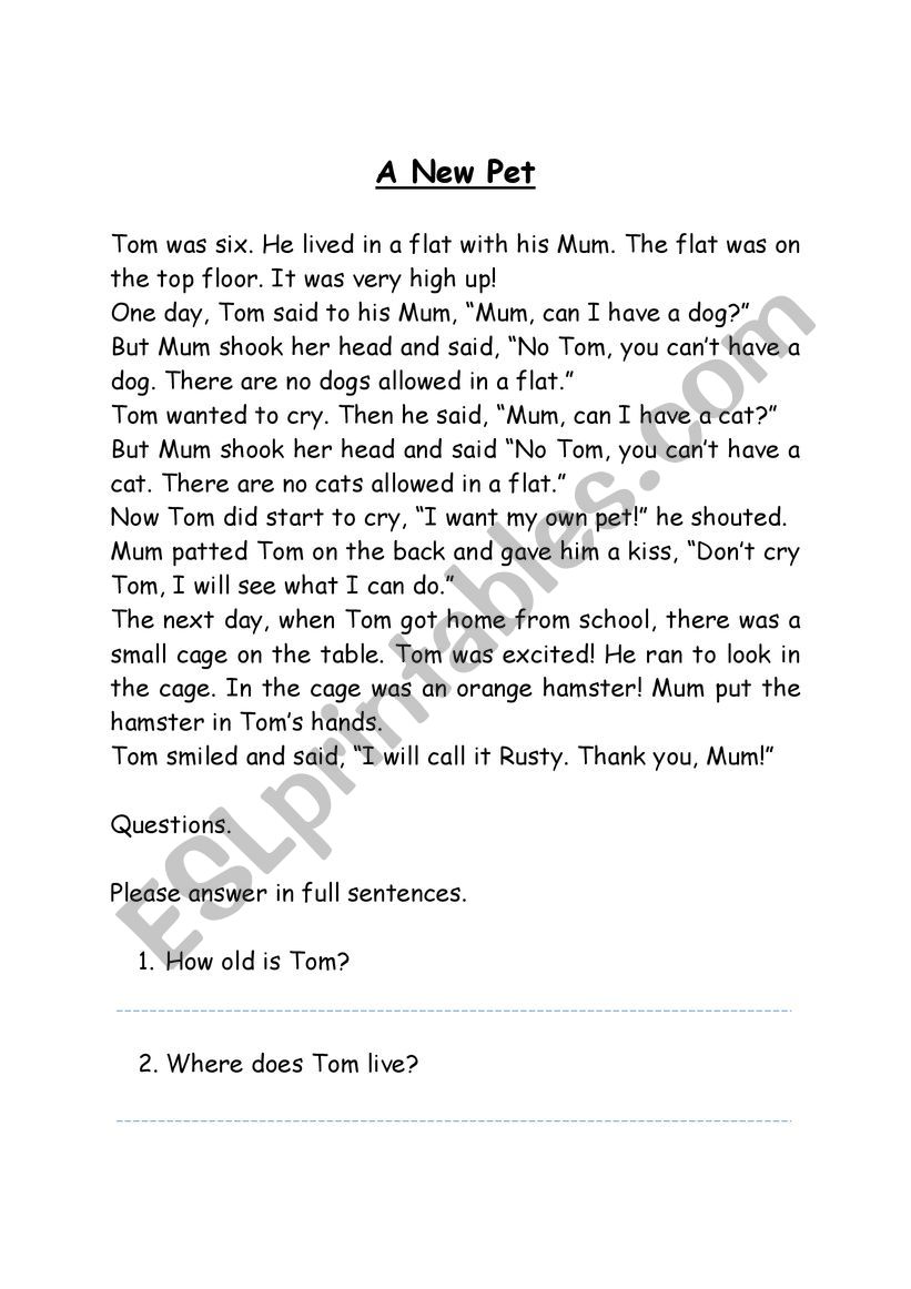 Reading comprehension  worksheet