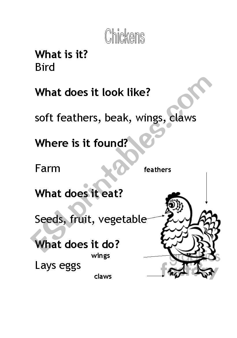 Chickens worksheet