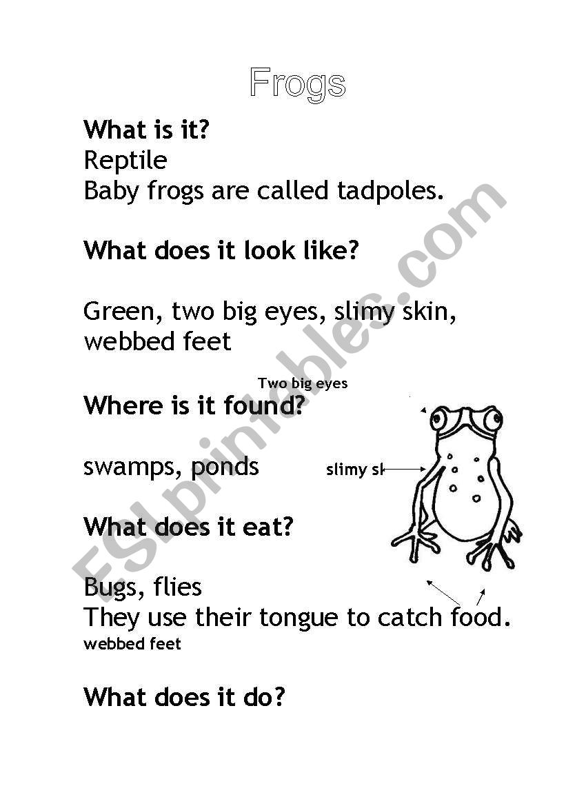 Frogs worksheet