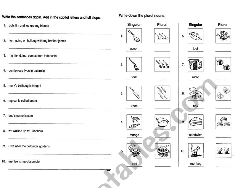 Capital Letters, Plural worksheet