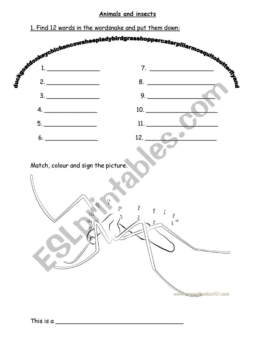 Animals and insects worksheet