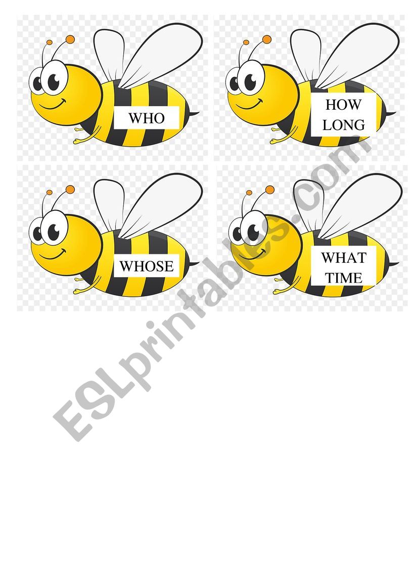 fly WH questions worksheet