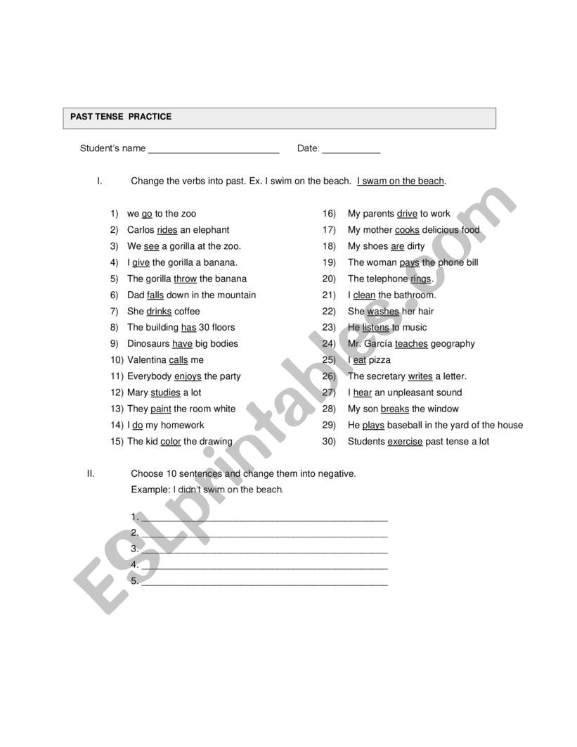 PAST TENSE PRACTICE worksheet