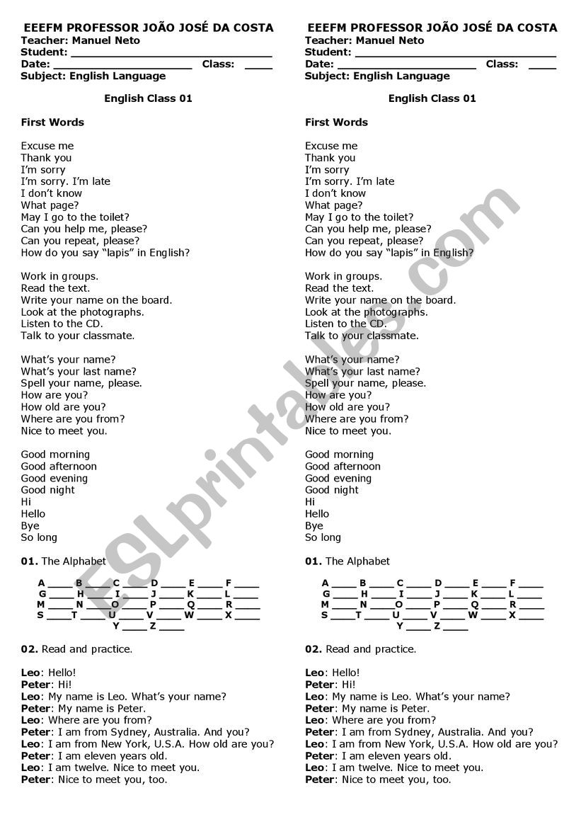 First Meeting - Greetings worksheet