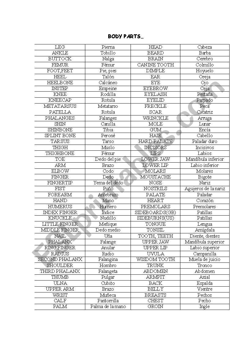 Body and Health worksheet