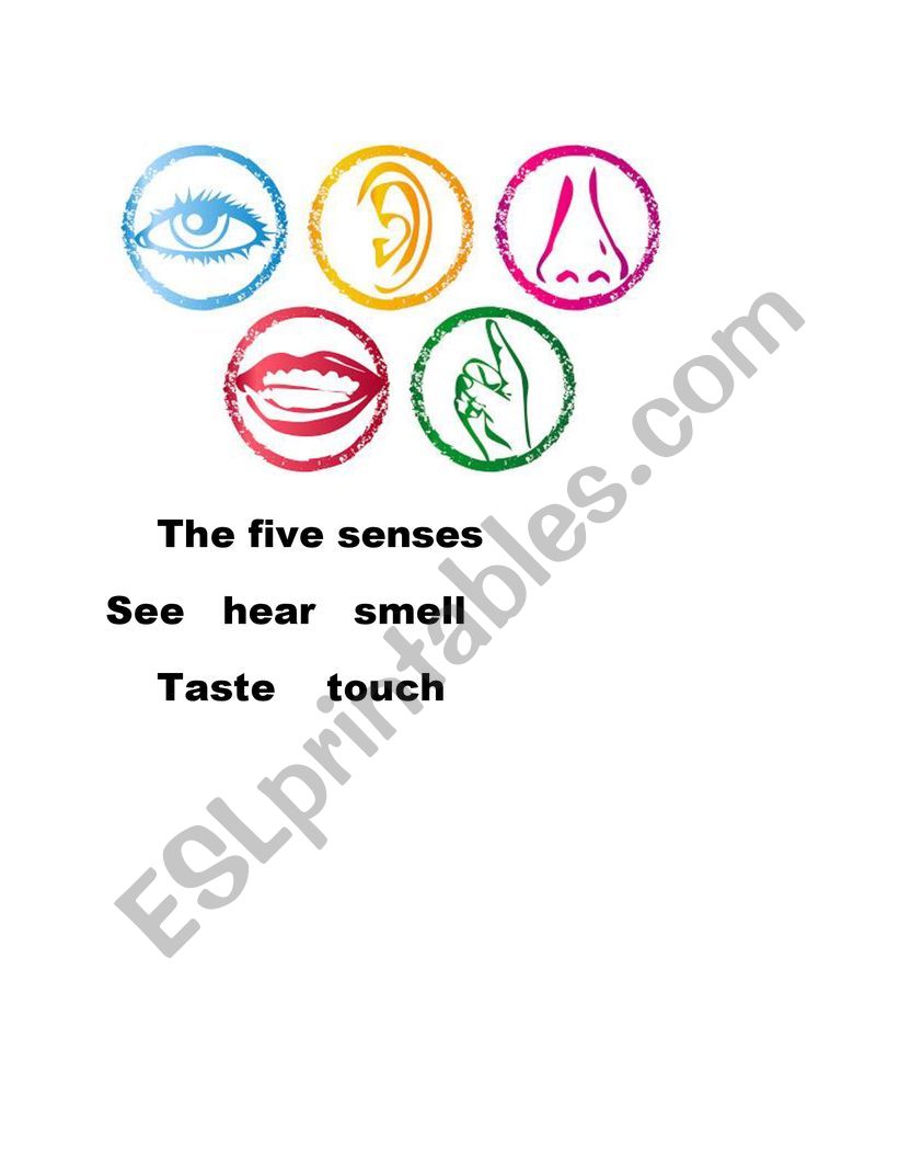 the five senses worksheet