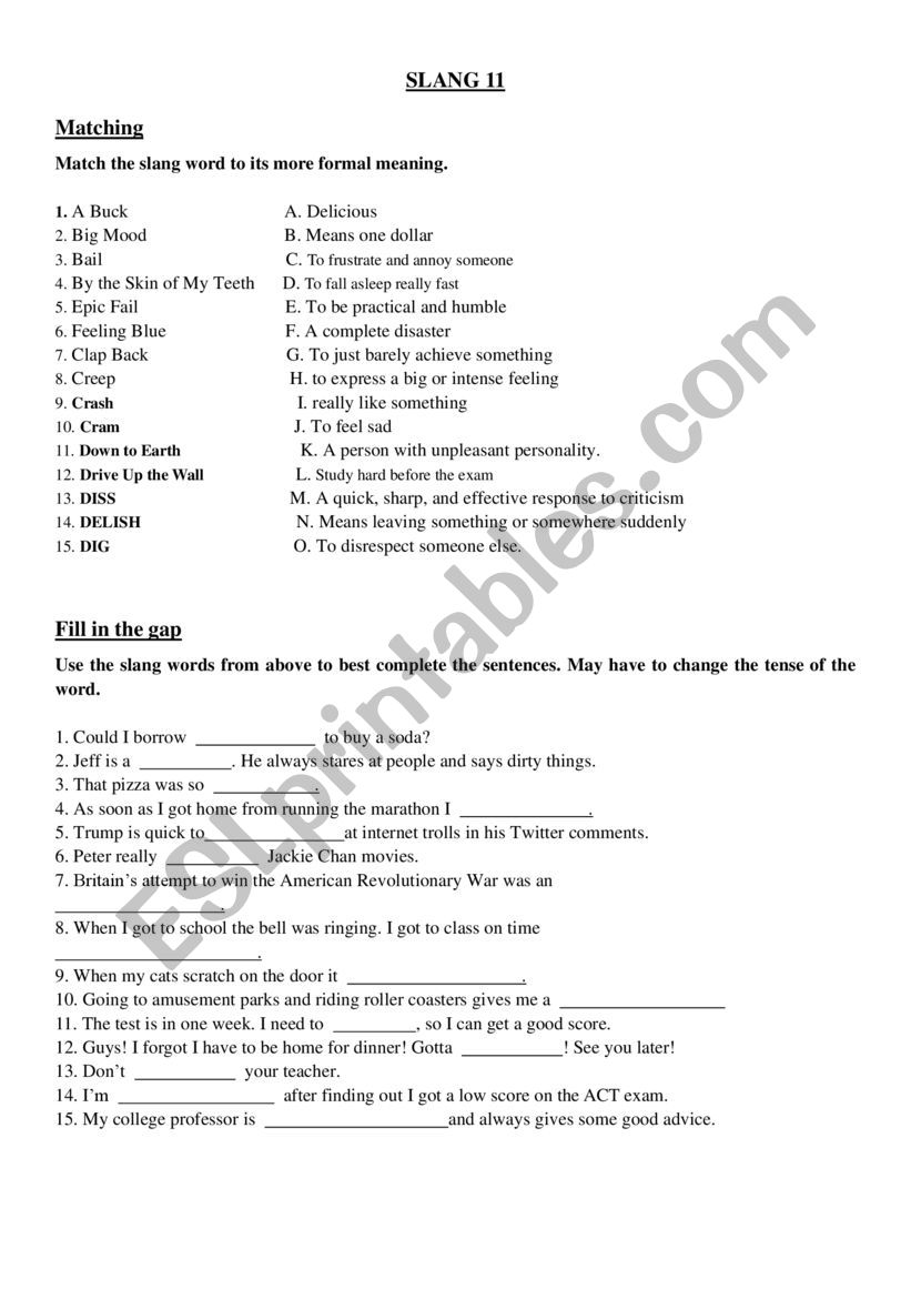 Slang Words 11 worksheet