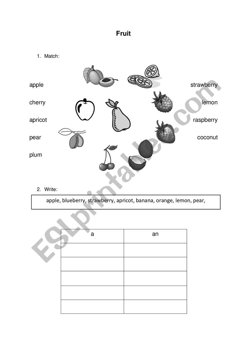 Fruit worksheet