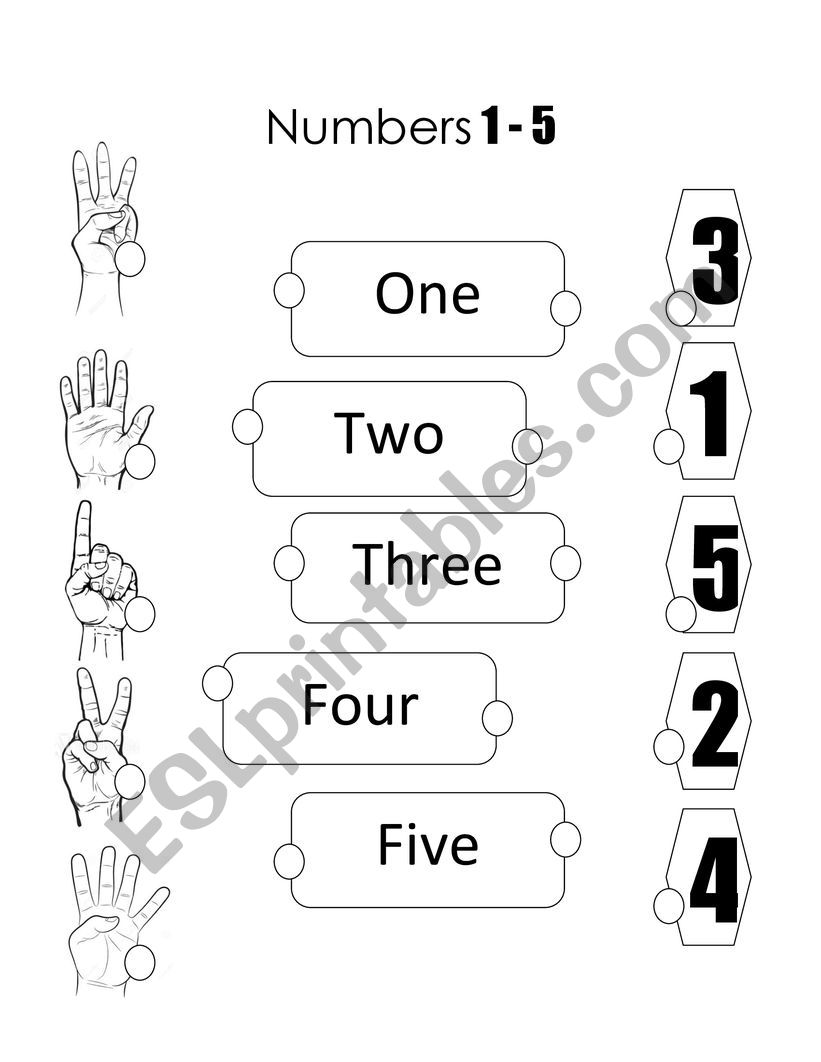 Numbers 1-5 worksheet