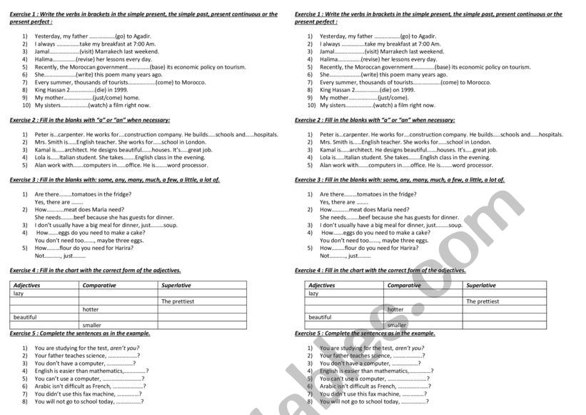 first bac review worksheet