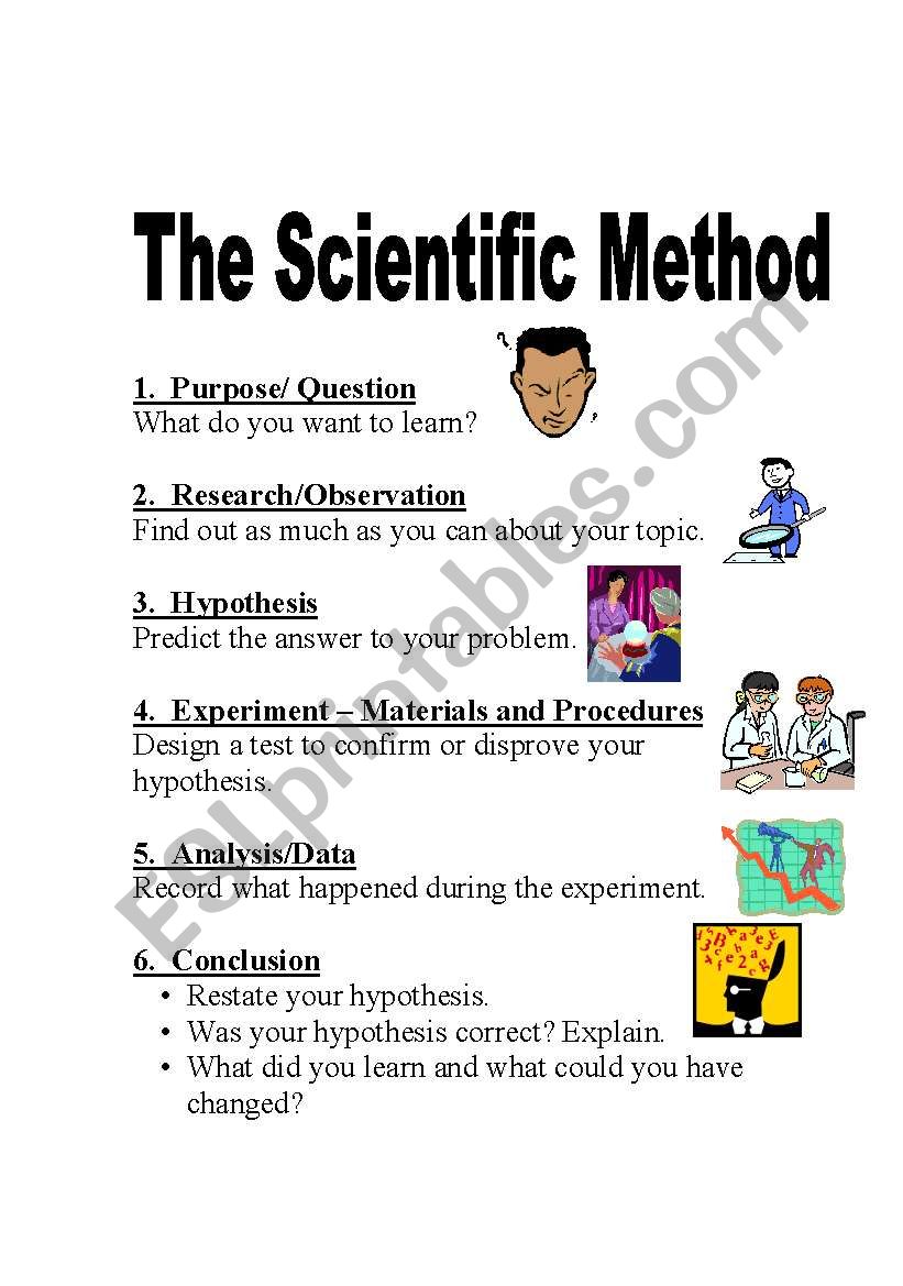 The Scientific Method - ESL worksheet by SCruzinSC Pertaining To Scientific Method Steps Worksheet