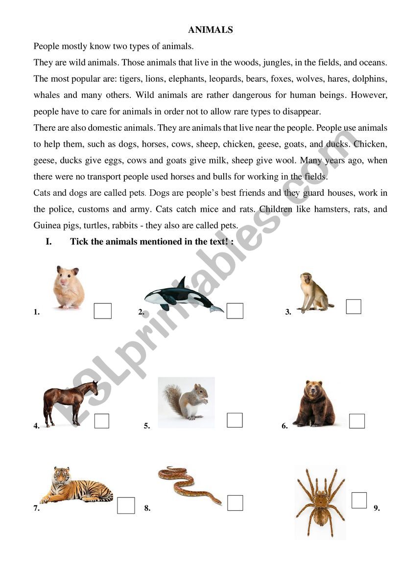 Animals worksheet