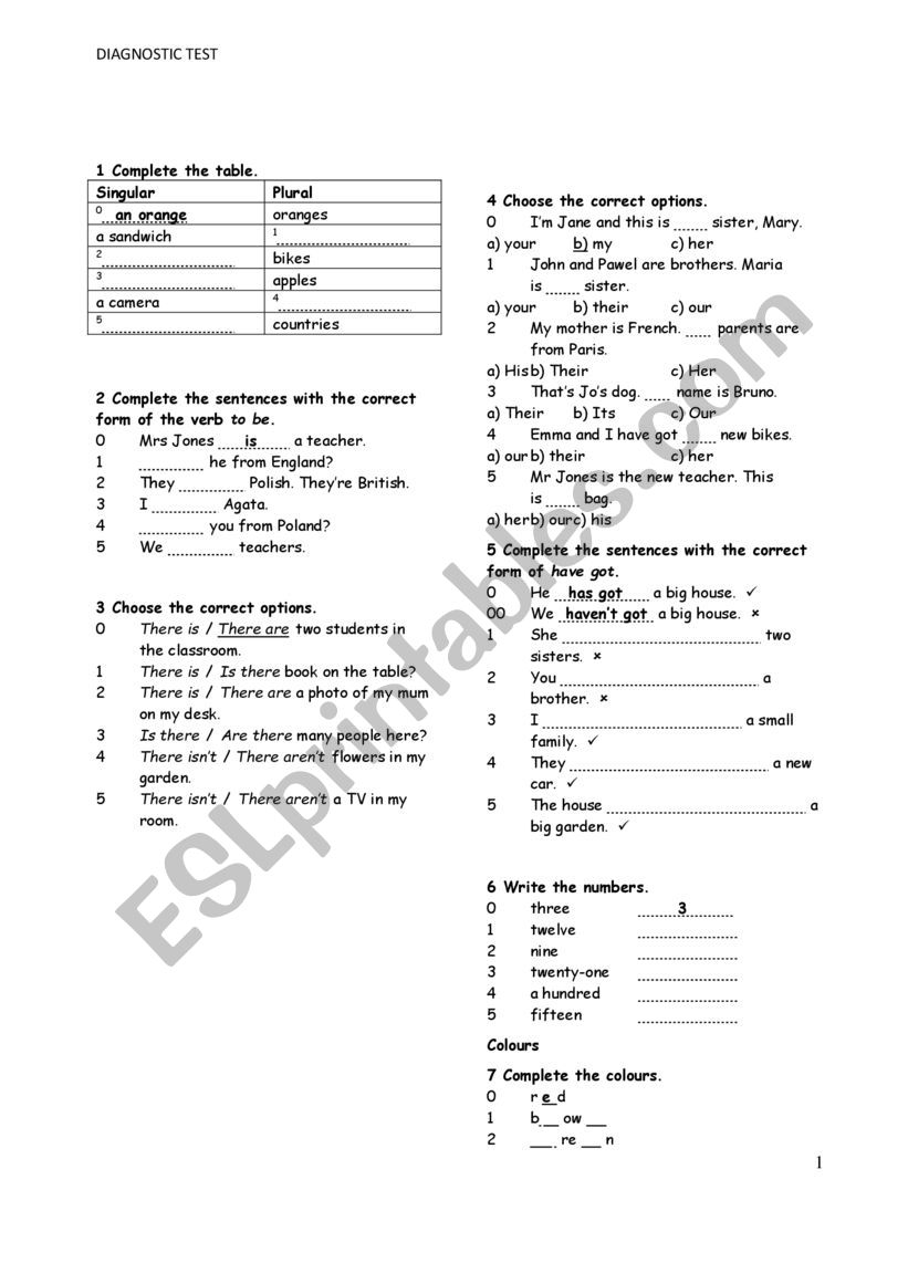 DIAGNOSTIC TEST worksheet