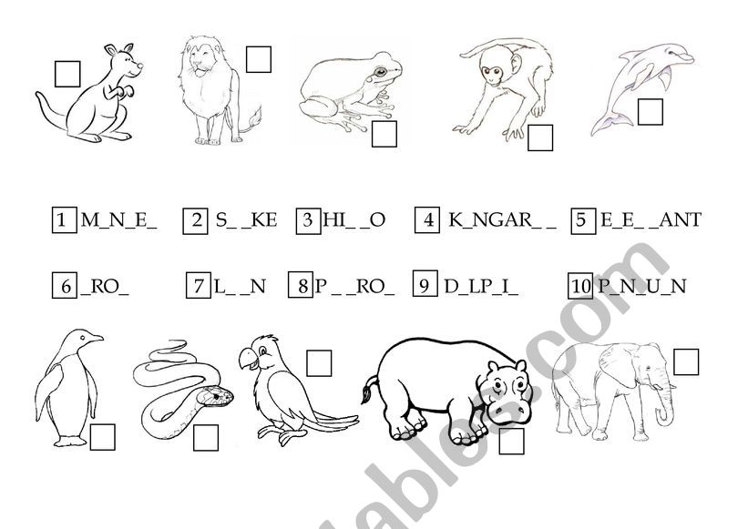 Animals worksheet