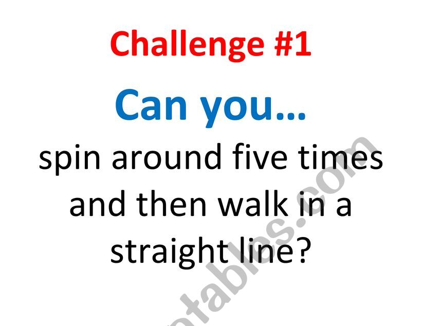 Can and Can Challenges  worksheet