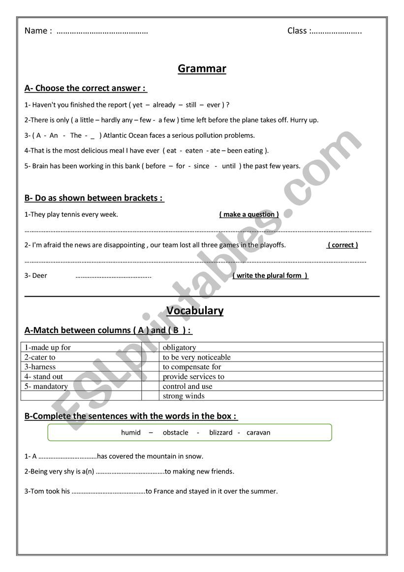 Test about grammar and vocabulary