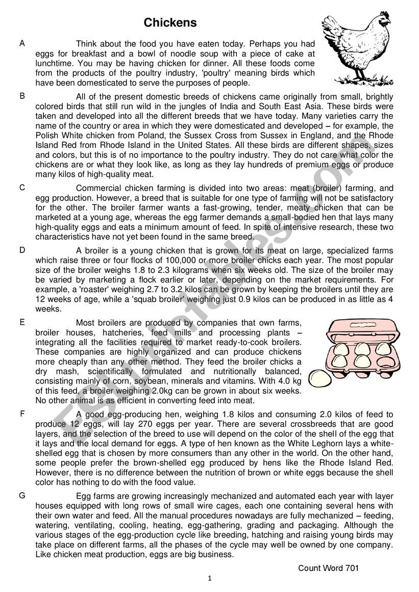 Chickens worksheet