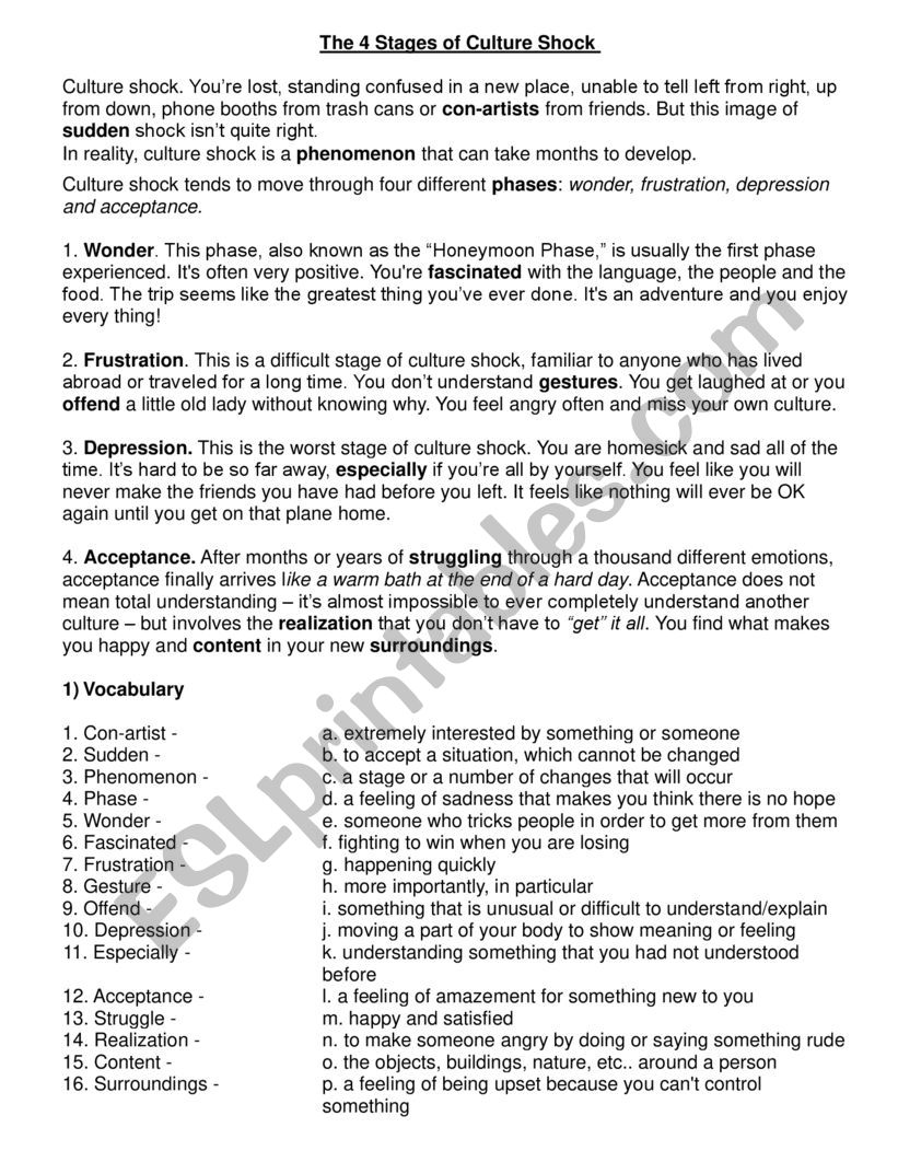 Culture Shock worksheet