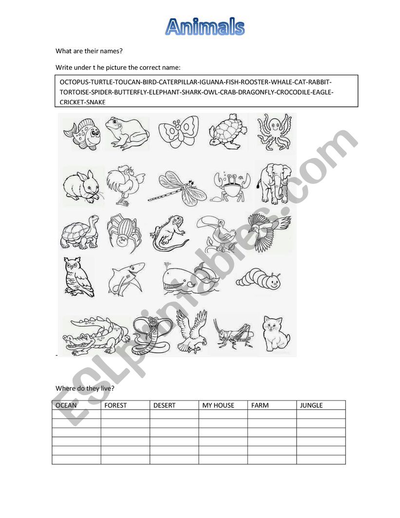 ANIMAL AND HABITAT worksheet