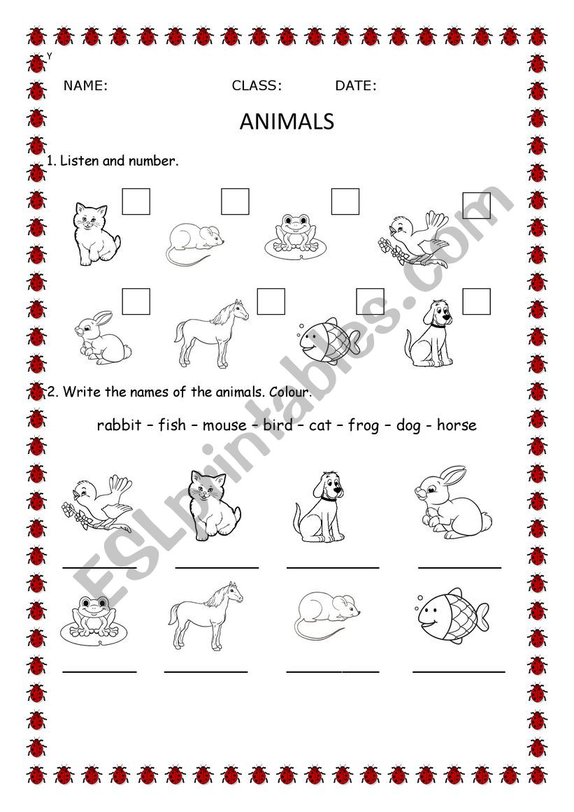 Animals worksheet