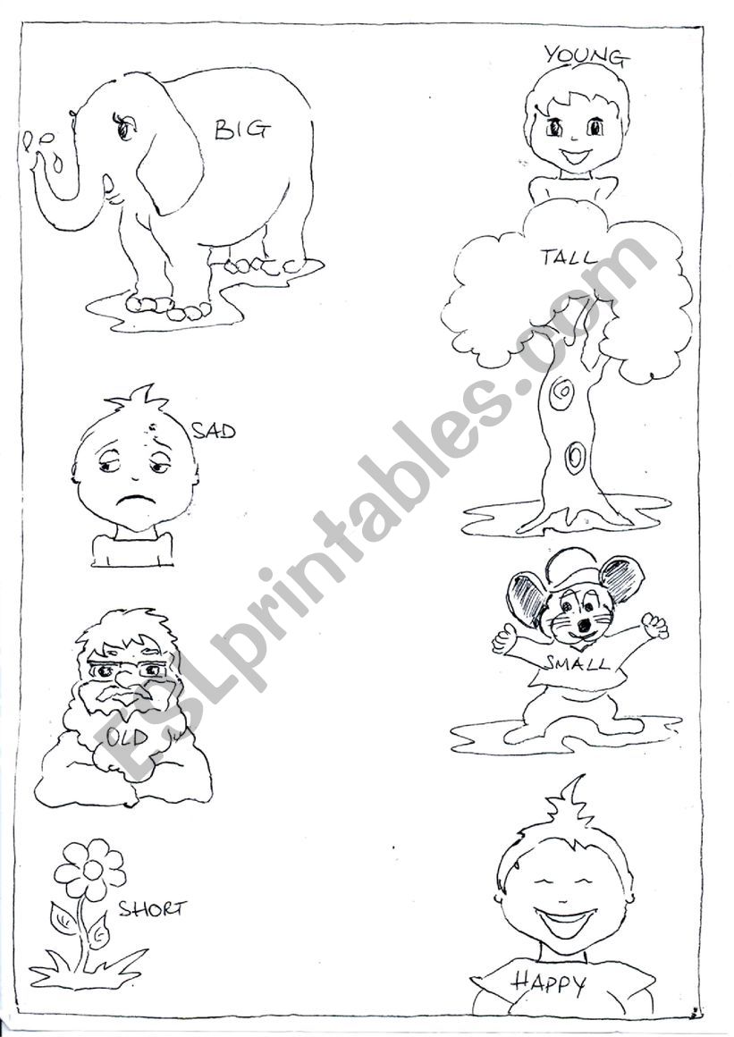 opposites for children worksheet