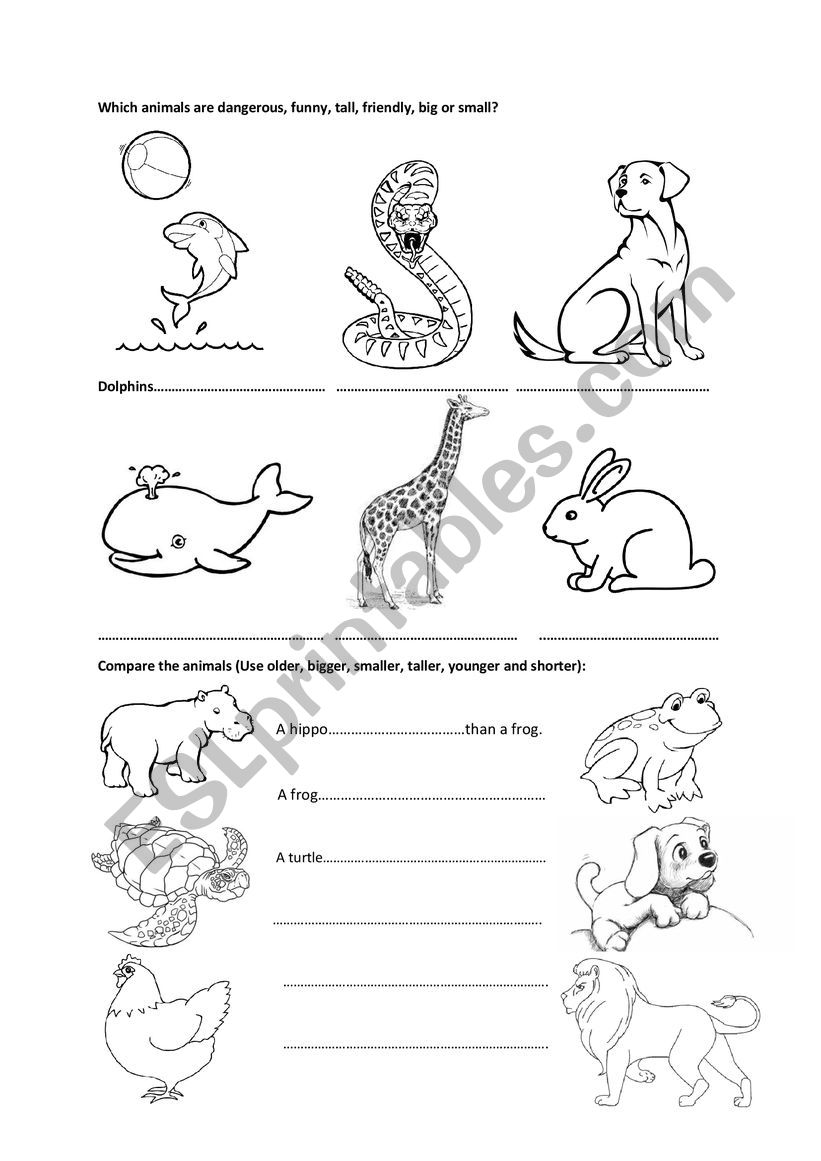 Happy Street 2 Unit 4 Animals - ESL worksheet by wolframpant Happy Street 2 Unit 4 Animals - ESL worksheet by wolframpant