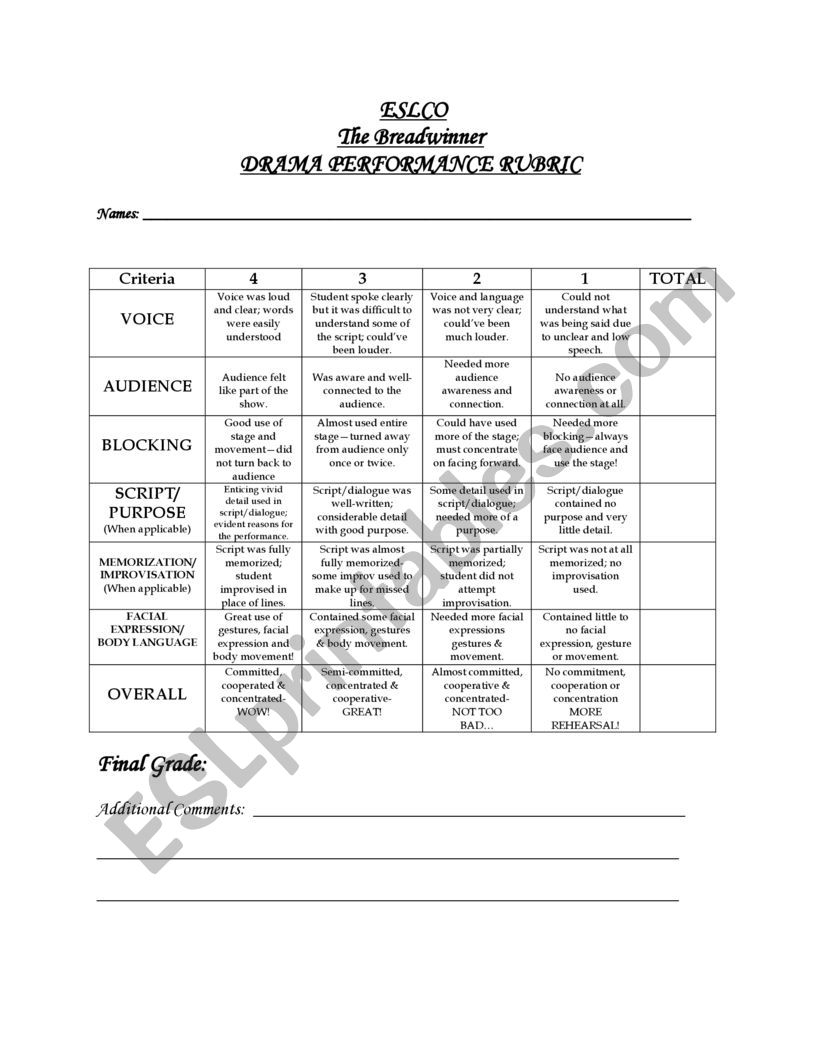 The Breadwinner worksheet