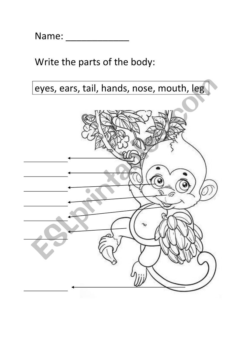 Monkey parts of the body worksheet