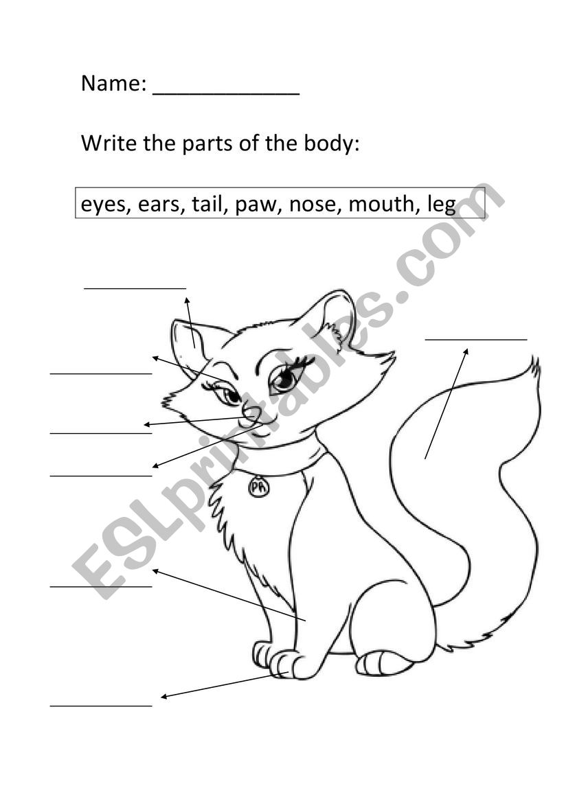 Cat parts of the body worksheet