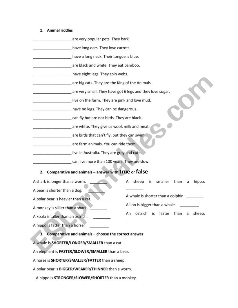 animal riddles comparative worksheet