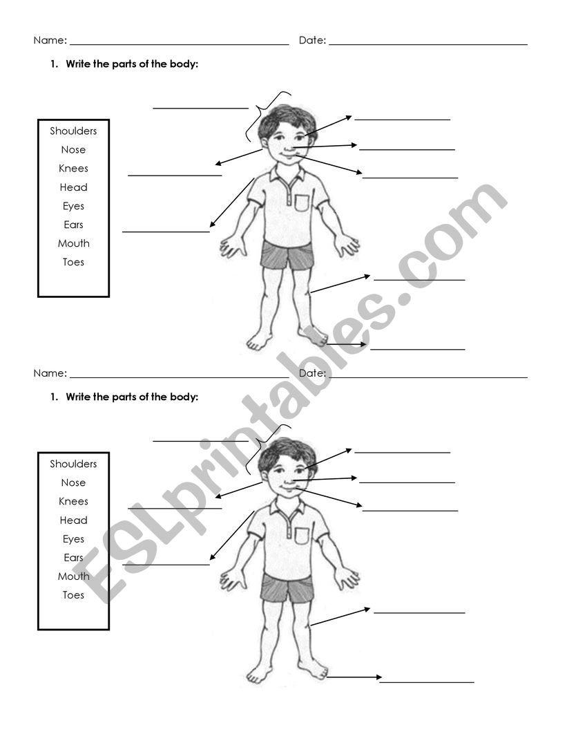 Body parts matching worksheet