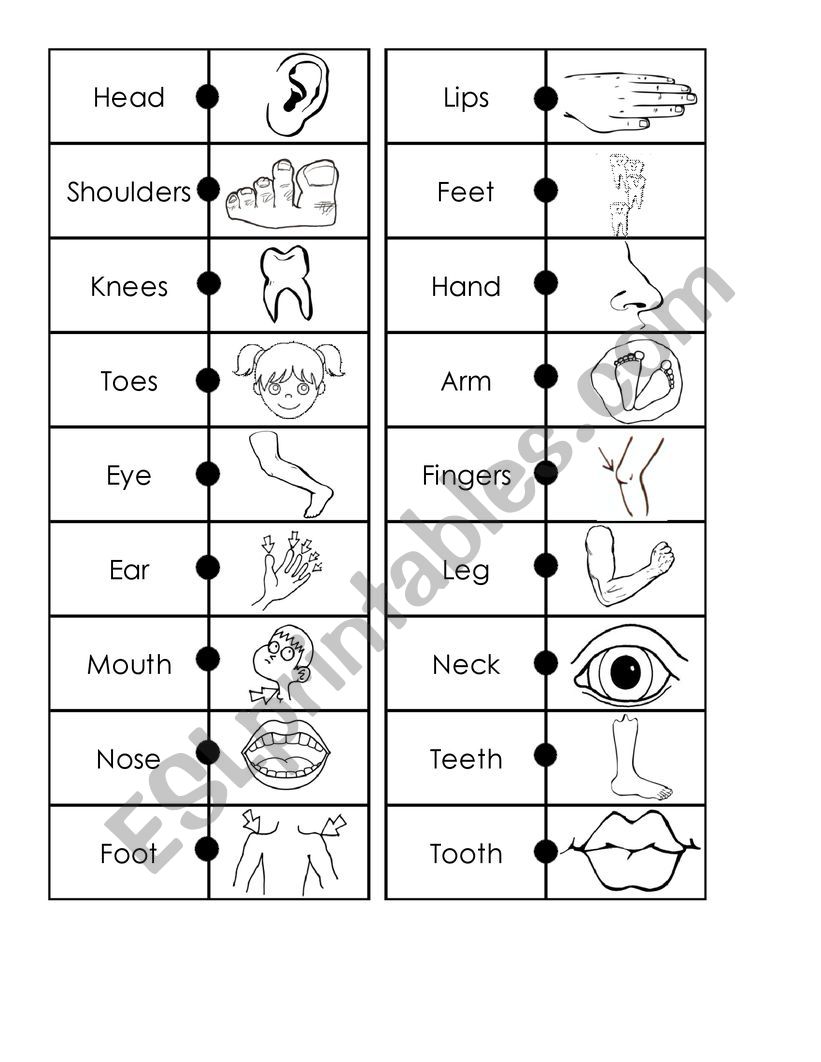 Body parts DominÃ³ worksheet