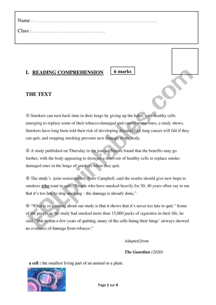 9 FORM END OF TERM TEST 2 worksheet