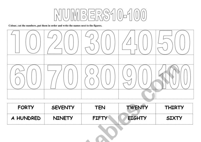 Numbers 10-100 worksheet