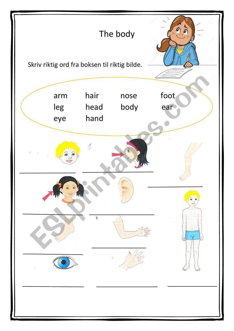 The body worksheet