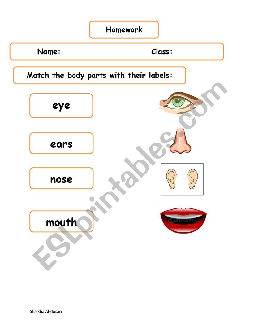 face parts matching worksheet