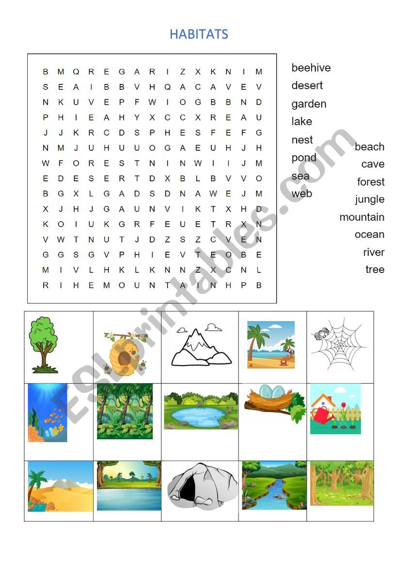 Habitats word search worksheet