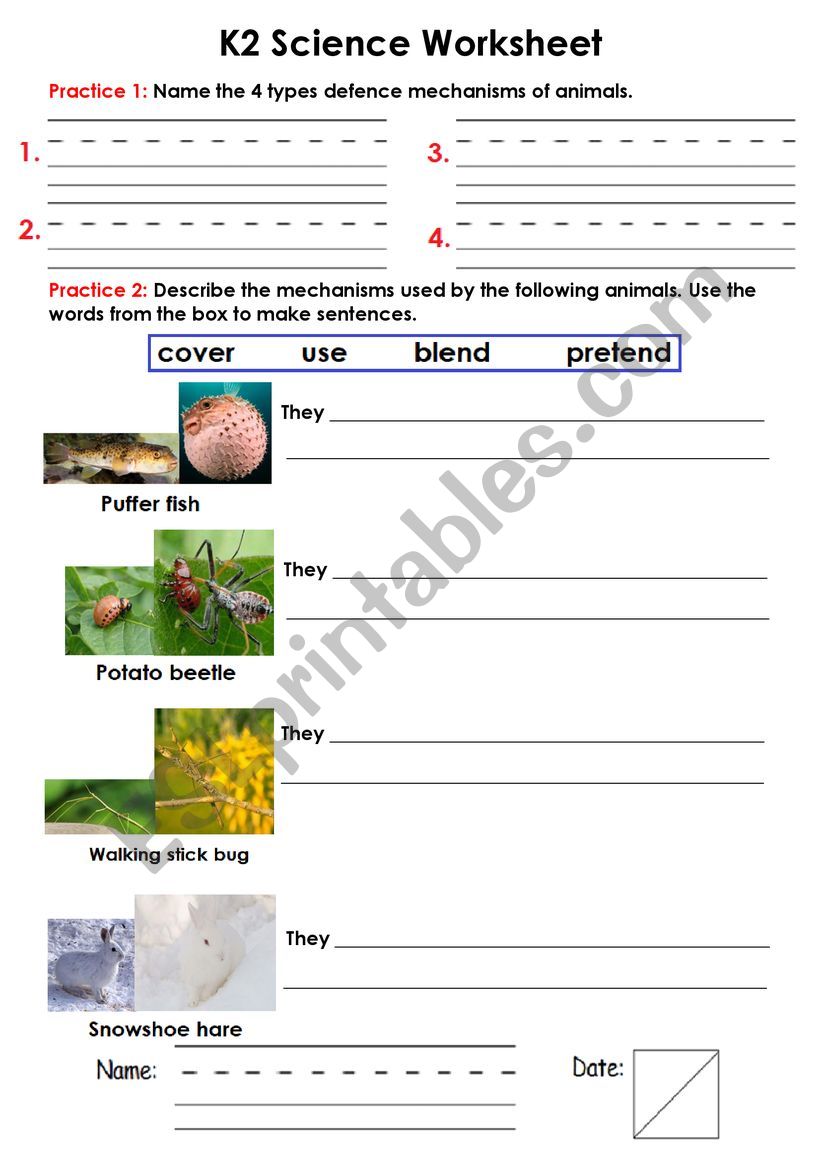 dd worksheet